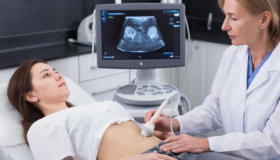 ультразвуковое исследование органов малого таза